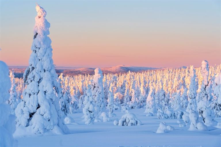 Authentisches Lappland @Paolo Graziosi/istock